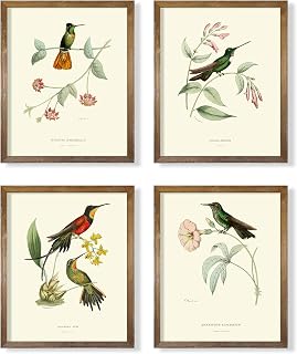 Vintage Bird Wall Art - Hummingbird Pictures for Wall - France Country Botanical Flower Poster - Beige Wall Decor for Bedroom Bathroom Cottagecore - Lovebird Sparrow Audubon Print - Green Tree Floral