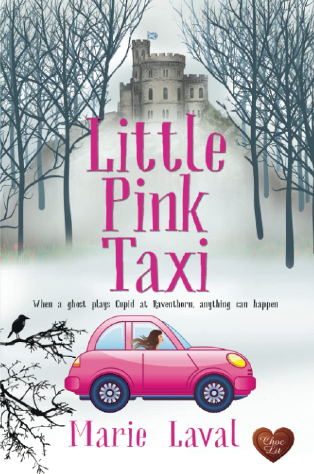 Little Pink Taxi