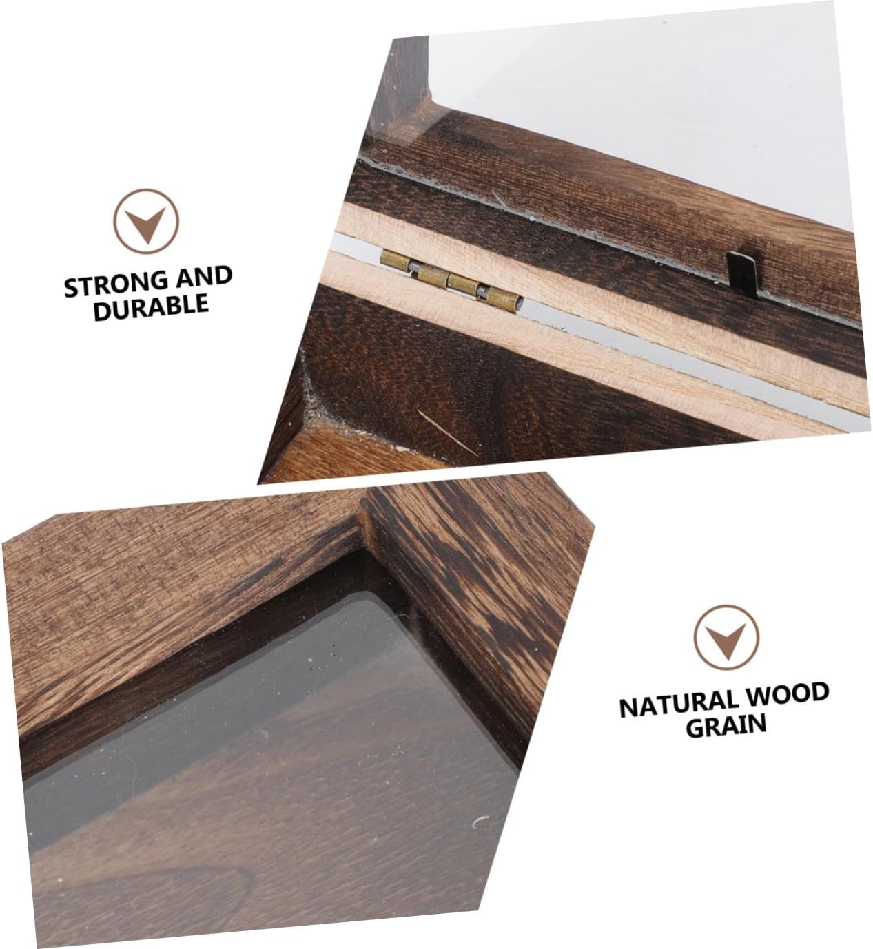 3pcs Specimen Display Box Retro Entomology Holder Lid and Multi-functional Storage for Specimens Jewelry and Crafts Carbonized