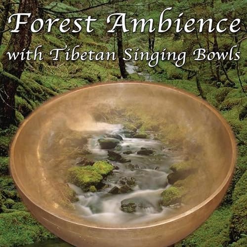 Forest Ambience With Tibetan Singing Bowls Healing Nature Sounds For