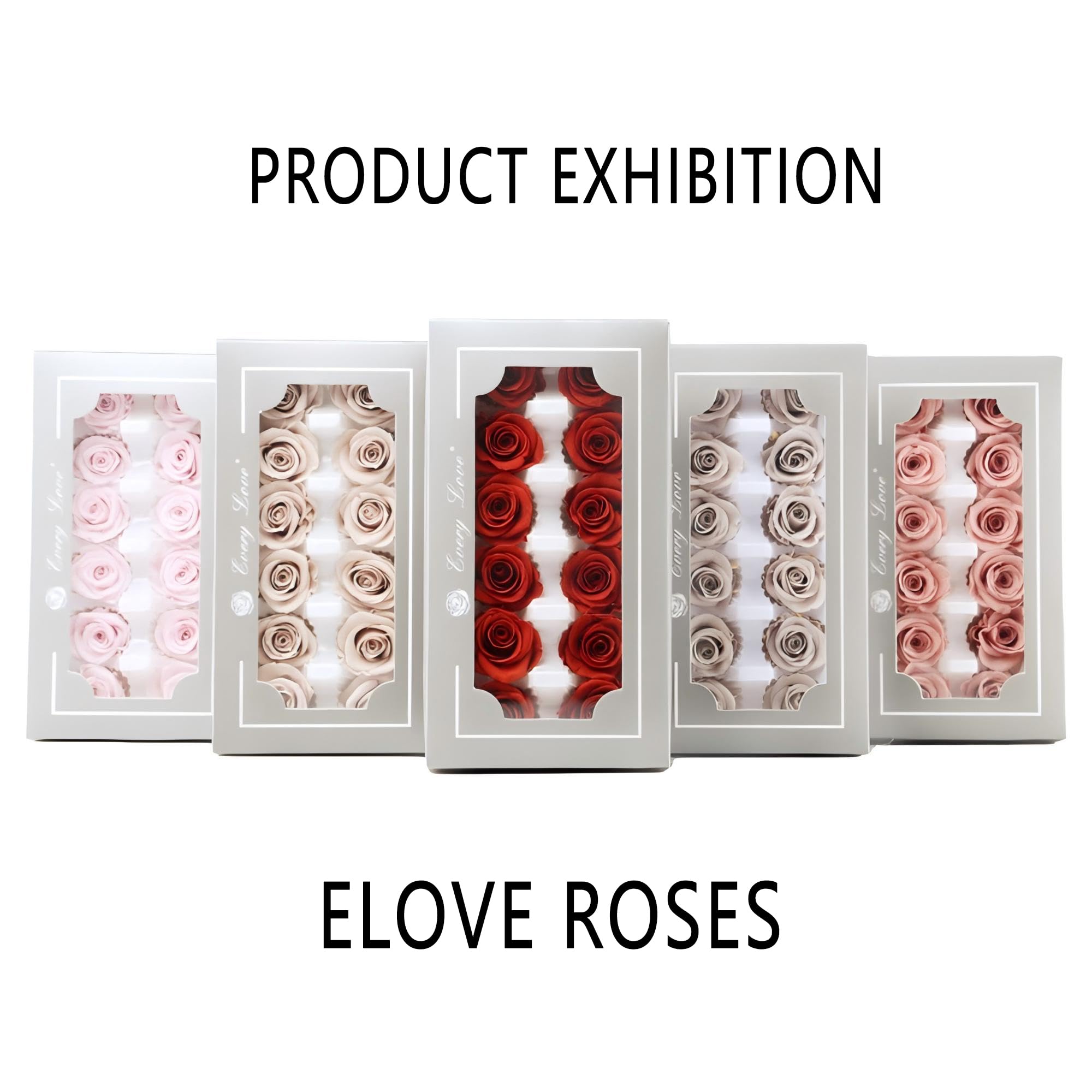 Ewige Rosen 6 Stück Box | 5-6 Cm Konservierte Rosenköpfe | Natürliche Echte Rosen Für Deko