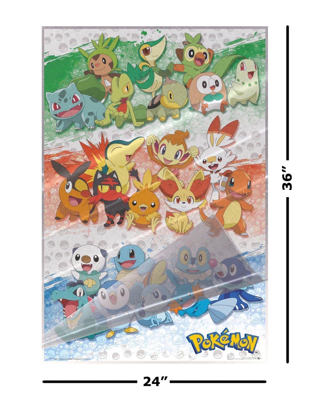 Amazon.com: Pokemon - TV Show Gaming Poster (First Partners) (Size