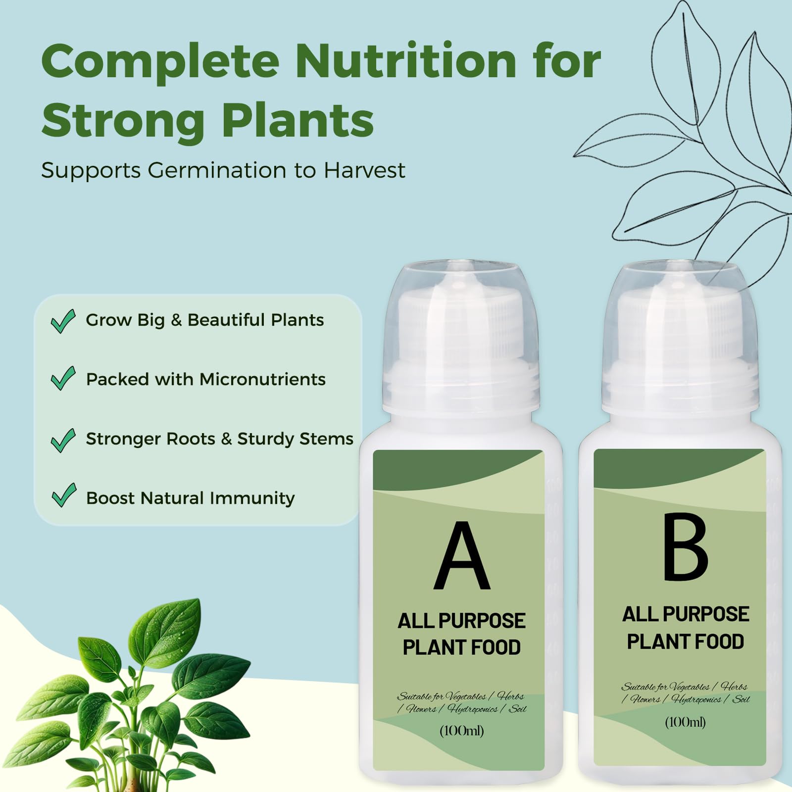 Kit de capsules de graines d'herbes hydroponiques – Recharge pour tous les jardins intérieurs, 8 capsules de culture avec graines de menthe poivrée, compatible avec tous les systèmes de culture