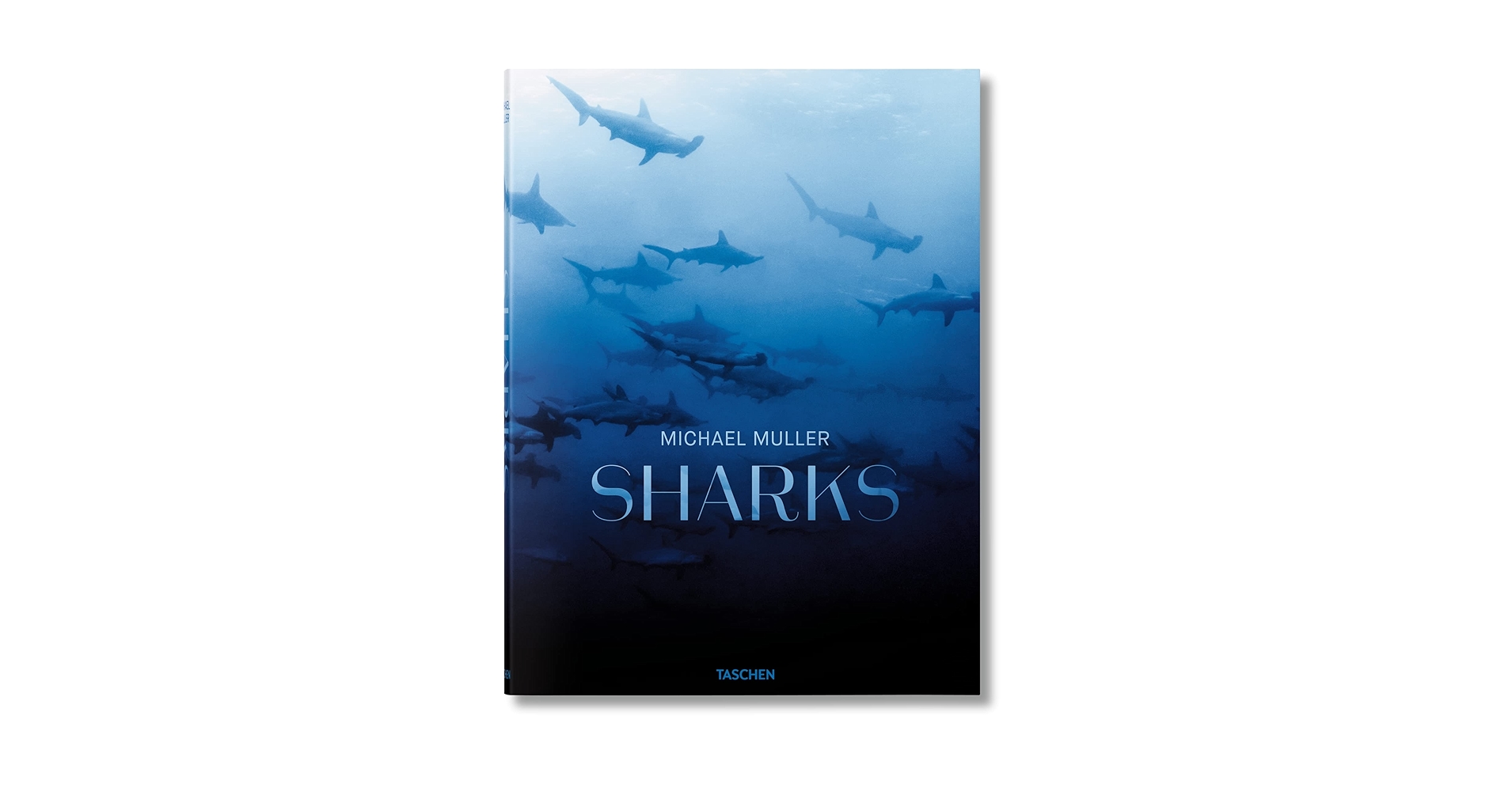 Amazon.com: Michael Muller. Sharks: 9783836553599: Nelson