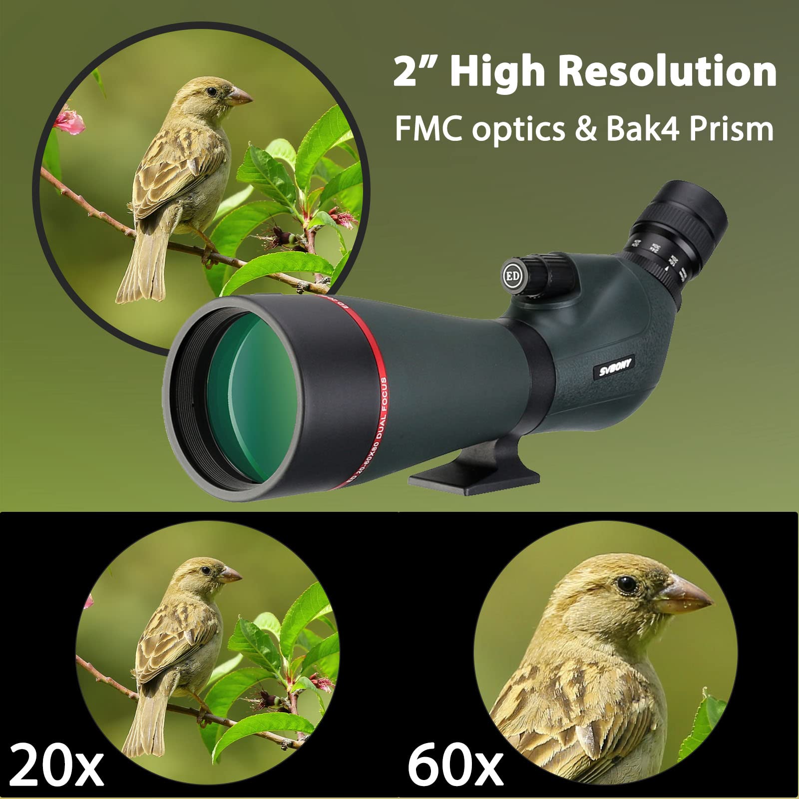 Svbony SV406P 80ED Spektiv mit 2MP WiFi Kamera, Dual Fokus, Austauschbares 1,25 Zoll Astronomie Okular, ED Glas BaK4 Prisma FMC Optik wasserdichte Spektive für Vogelbeobachtung