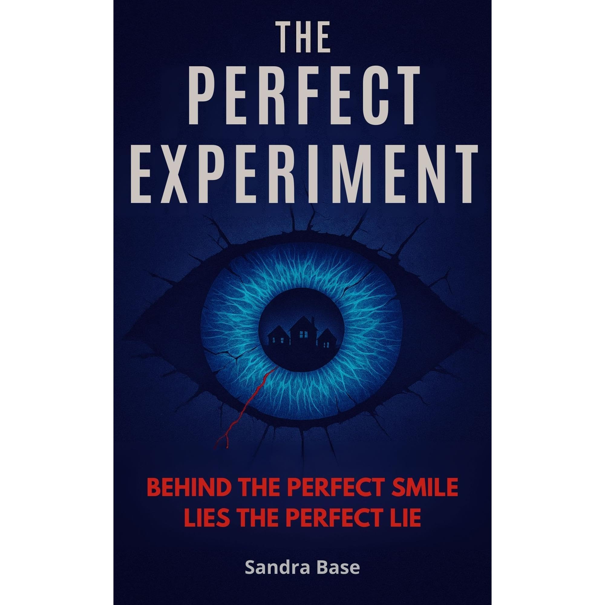 The Perfect Experiment