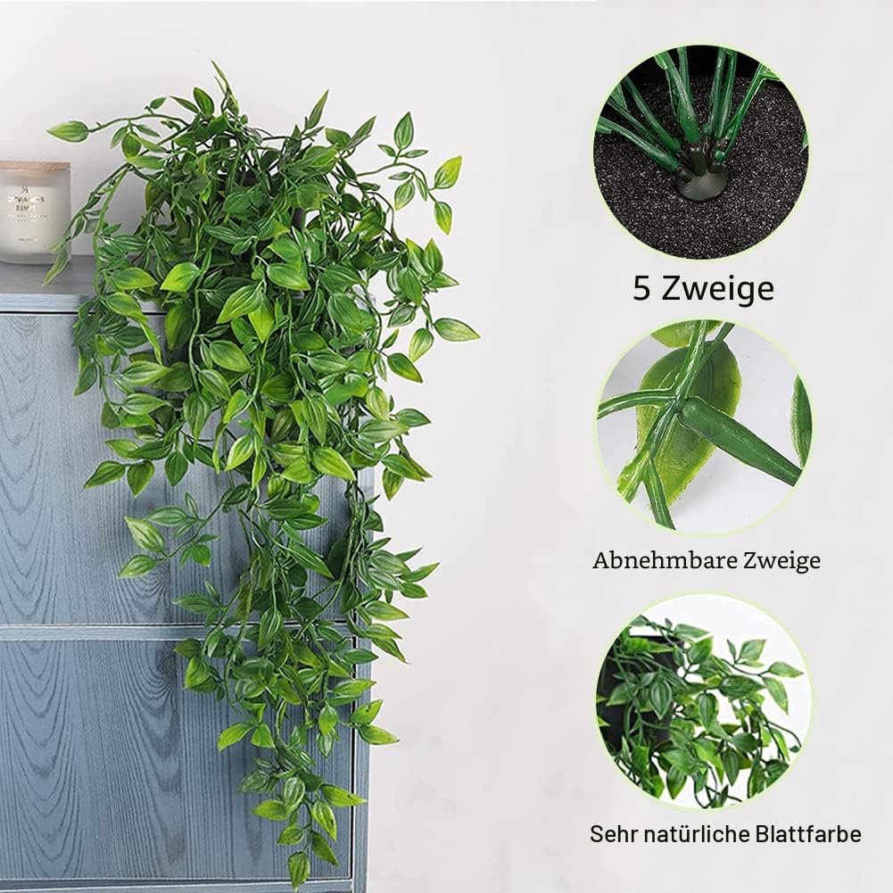 monstera dünger kaufen Zimmerpflanzen Dünger, Monstera Dünger, 6 Monate Depotwirkung – PlantMe main image 0