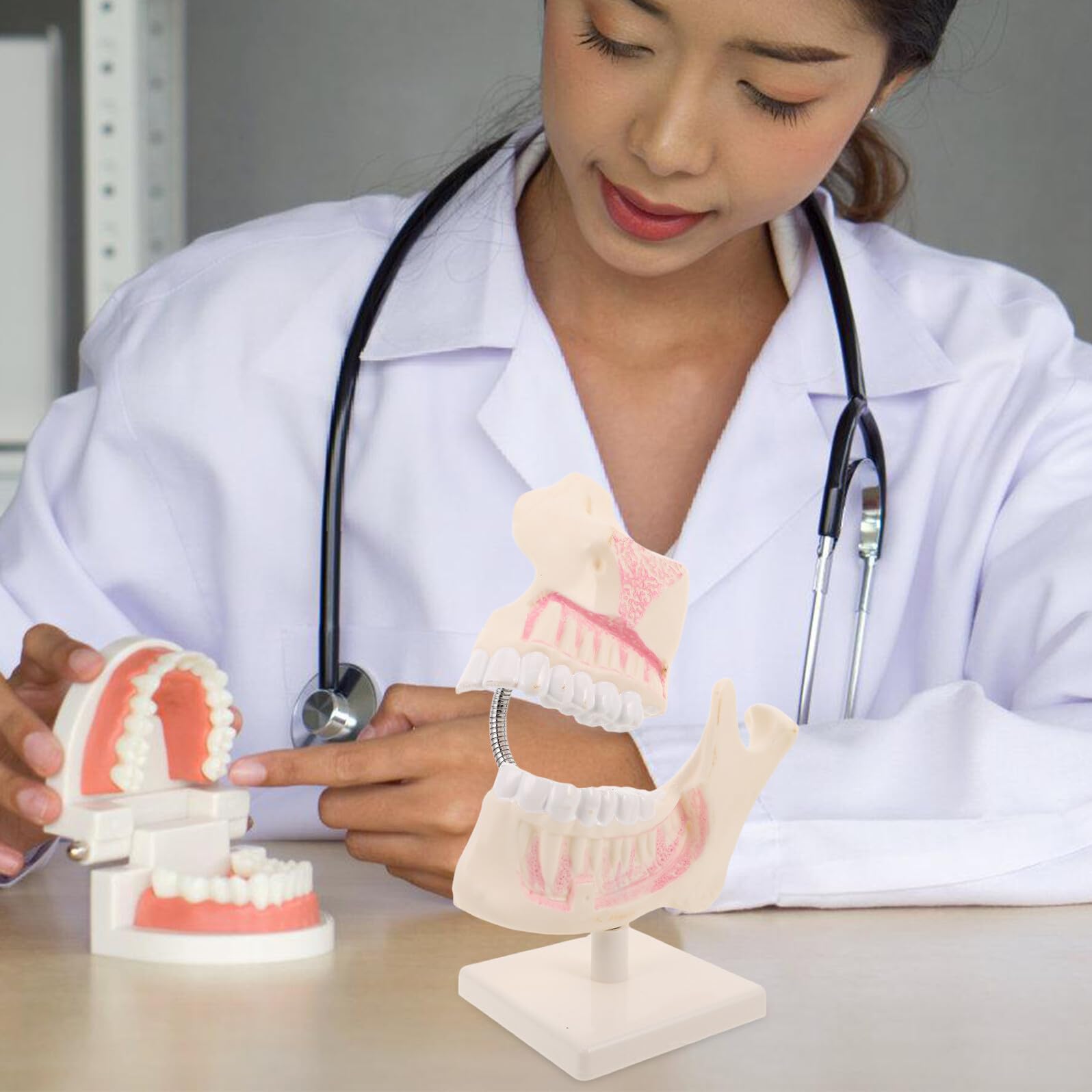 Hemobllo Modello di Bocca in Plastica per Studio Dentistico Modello Dimostrativo Pratica per Studenti di Odontoiatria Strumento Didattico per Anatomia e Preparazione Agli Esami