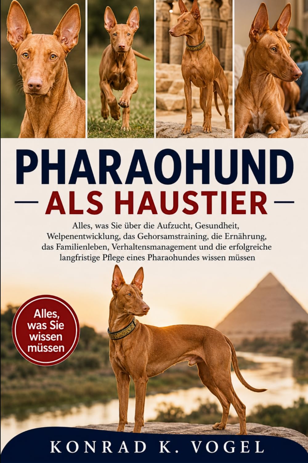 PHARAOHUND ALS HAUSTIER: Alles, was Sie über die Aufzucht, Gesundheit, Welpenentwicklung, das Gehorsamstraining, die Ernährung, das Familienleben, ... Pflege eines Pharaohundes wissen müssen