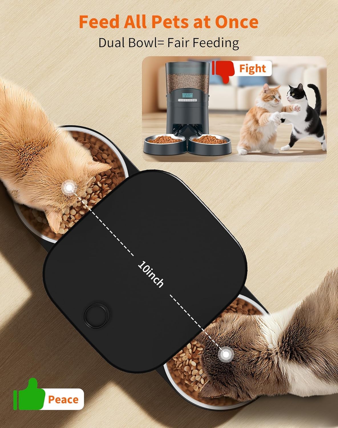 HoneyGuaridan Distributore Automatico Cibo Gatti, 3.5L Dispenser Crocchette Gatto con 4 ciotole, Programmable Porzione(6 Pasti/Giorno), Avviso vocale per i pasti, piedini antiscivolo