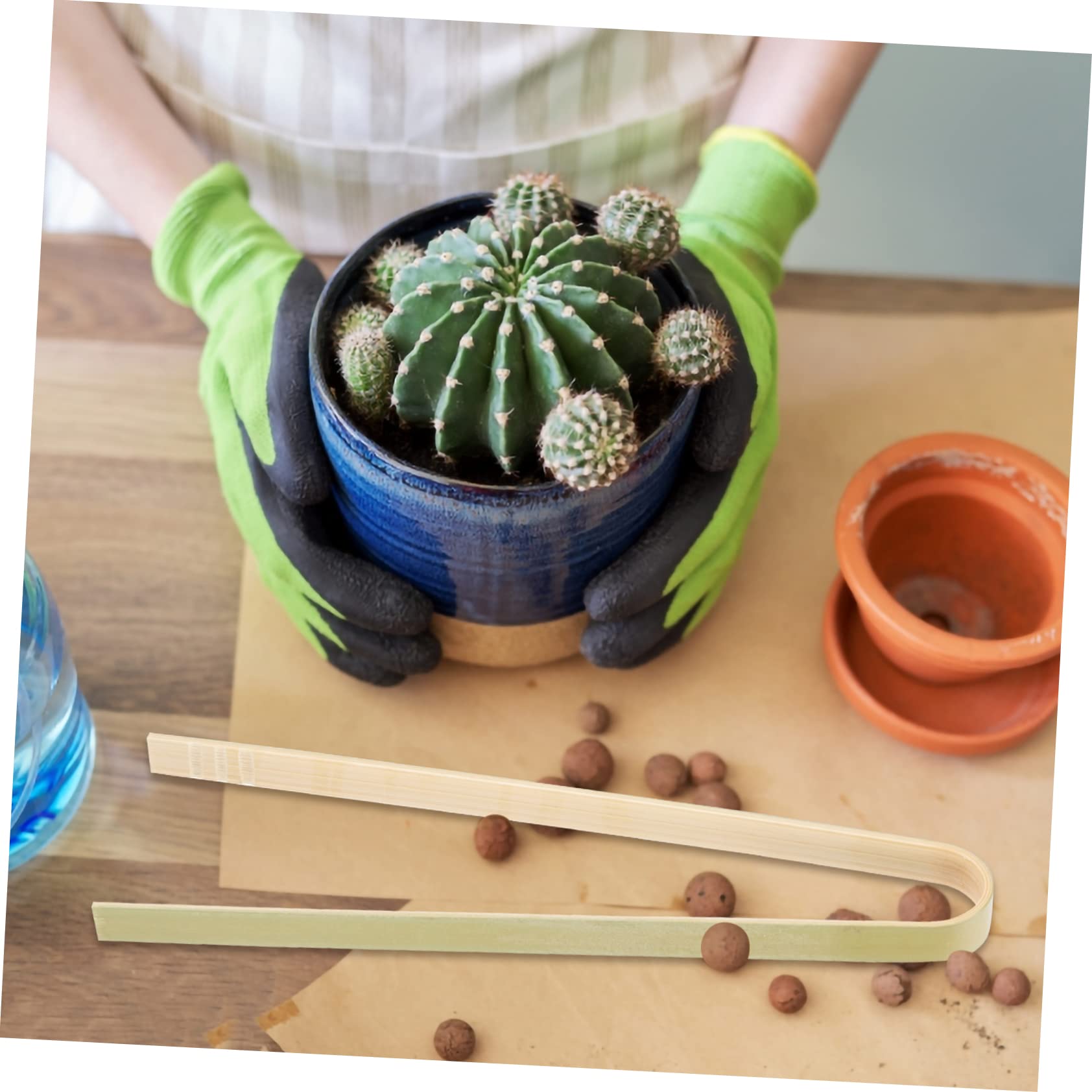 Amazon.com : BIUDECO 10pcs Garden Cactus Pliers Bamboo Succulent Tools  Moving Cactus Plants Clip Transplanted Pliers : Patio, Lawn & Garden