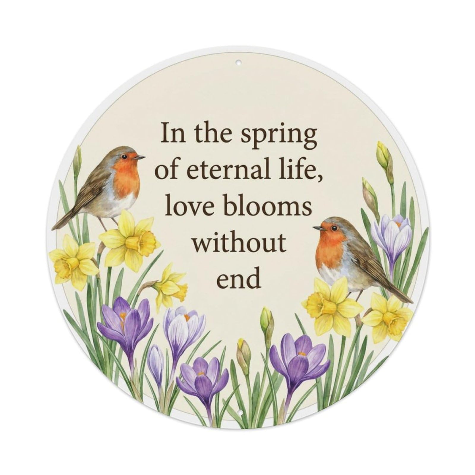 European Robin Garden Sign Heaven Love Spring Metal Tin Sign
