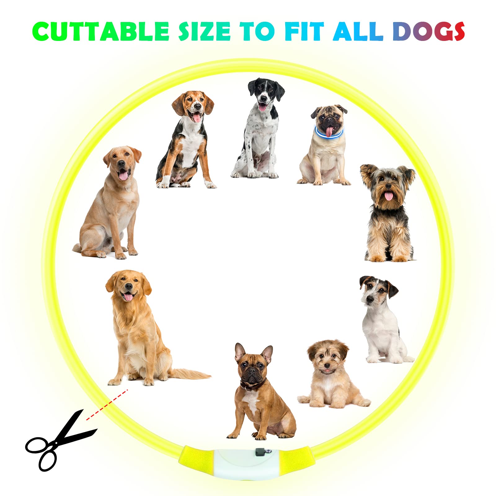 AUAUY Collare Luminoso per Cani, Collare per Animali Domestico LED Ricaricabile USB, Collare di Lunghezza Regolabile Impermeabile per Cani di Taglia Piccola Media Grande e Gatti (Giallo)