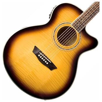 エレキギター　washburn Washburn CB15 5-String Classic Electric Bass Natural Ovankol