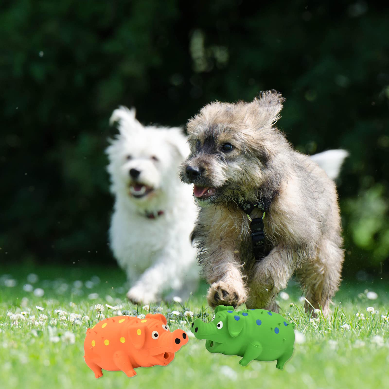Juguete chirriante para perros, 2 piezas interactivas de goma para masticar perros, juguetes de látex duraderos para perros pequeños, medianos y grandes (naranja, verde)