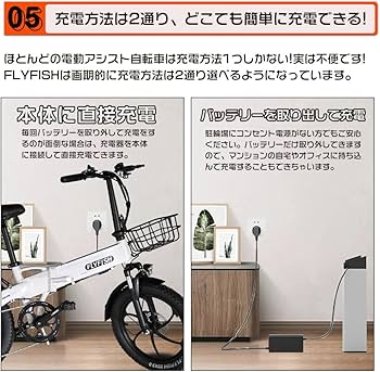 Amazon | 折りたたみ 電動アシスト自転車 FLY FISH 型式認定 ファット