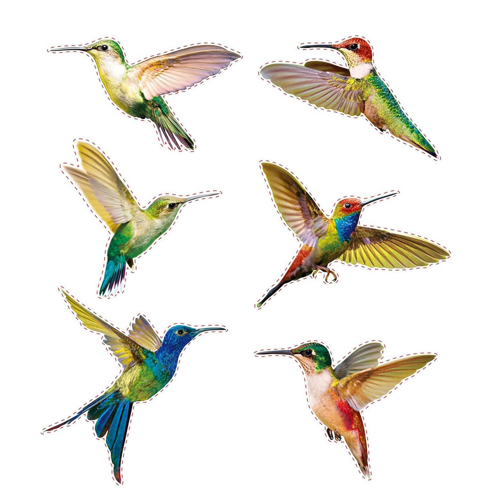 Pasisuu Bird Strike Prevention Window Decals, Reusable Static Clings Stickers for Glass Doors, Protective Bird Collision Stickers, Easy Install 6pcs