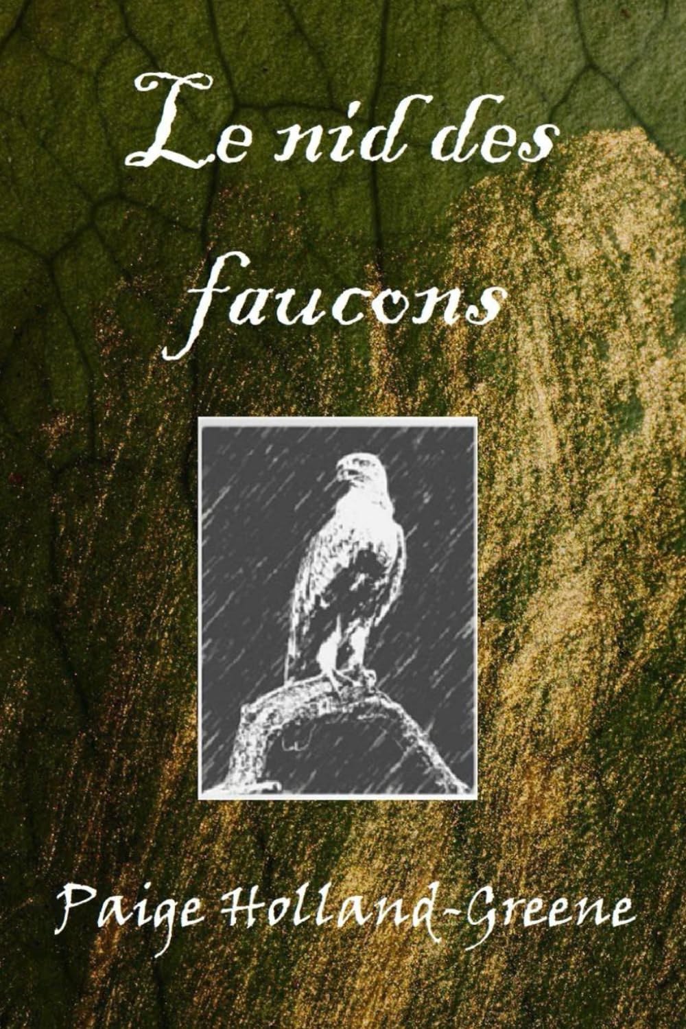 Le nid des faucons (Les Dames de la Tournière)