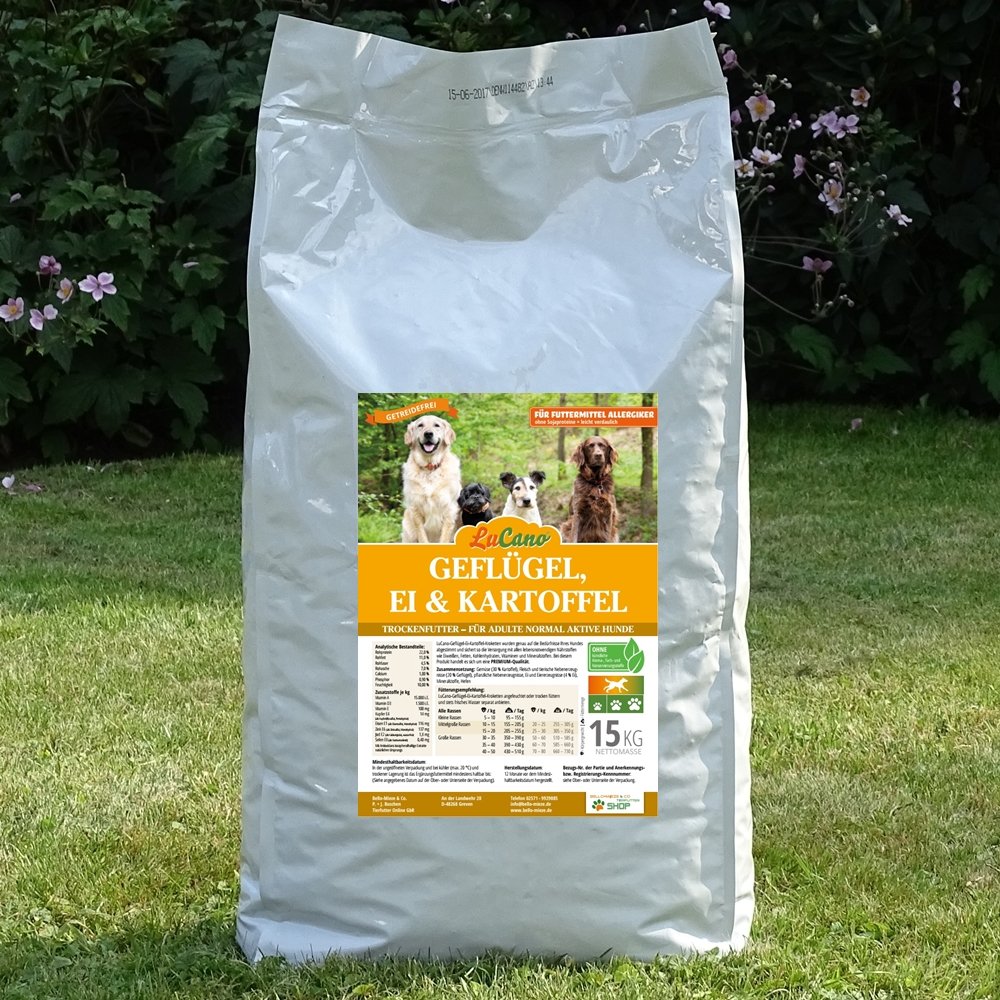 hundebett xxl Orthopädisches Hundebett für große Hunde