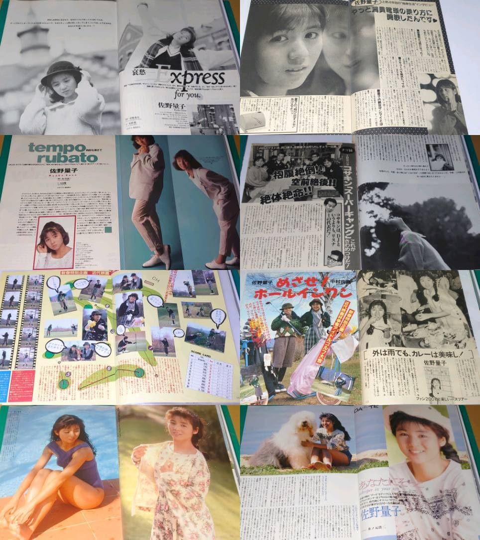 Amazon.co.jp: 佐野量子 1984年?1993年 大量 切り抜き ファイル