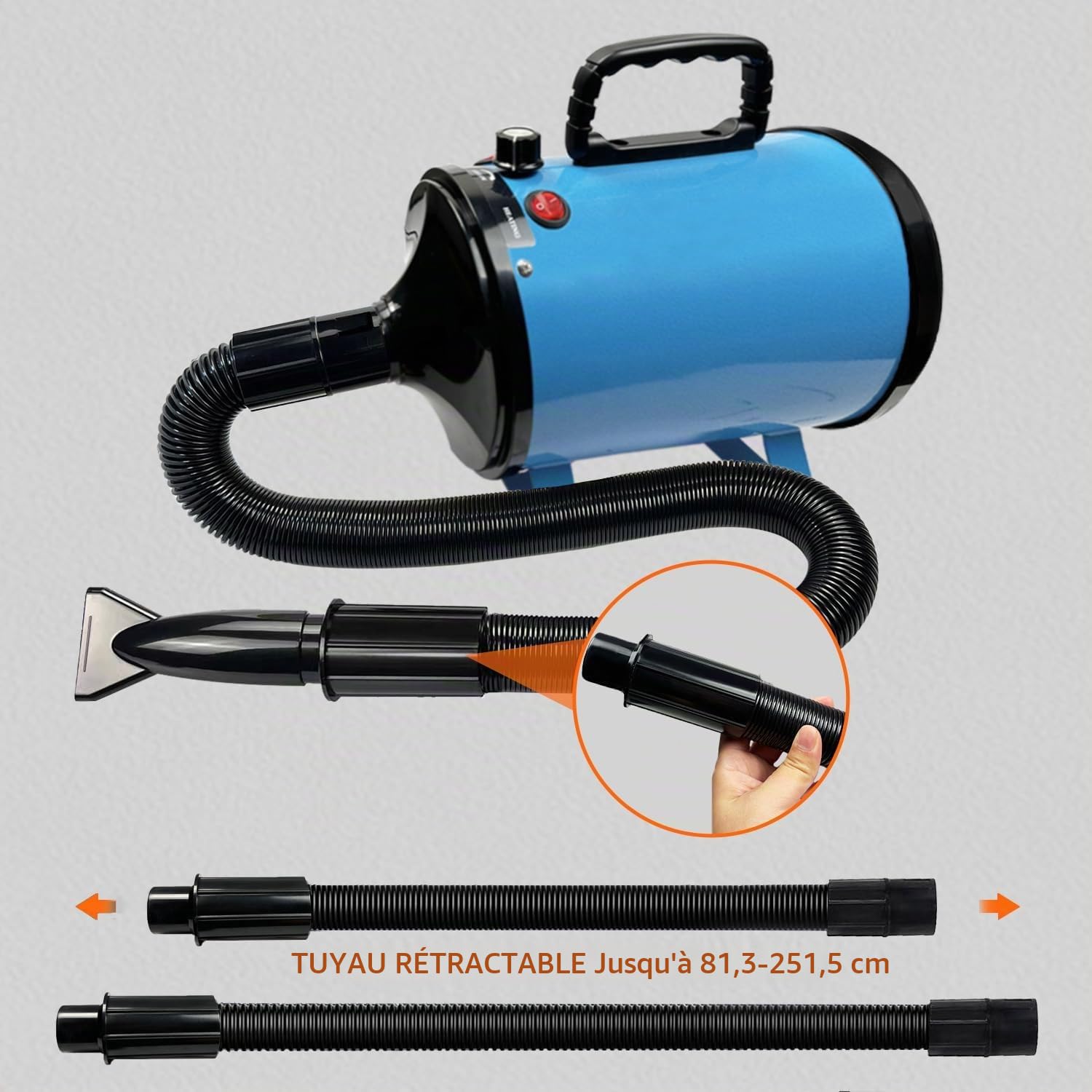 Professionnel Souffleur Chien Séchoir Sèche-Poils Toilettage Sèche-Cheveux pour Chien 2800W Sèche-Cheveux pour Animaux Vitesse Continue et température réglable avec 4 Buses (Noir-Bleu)