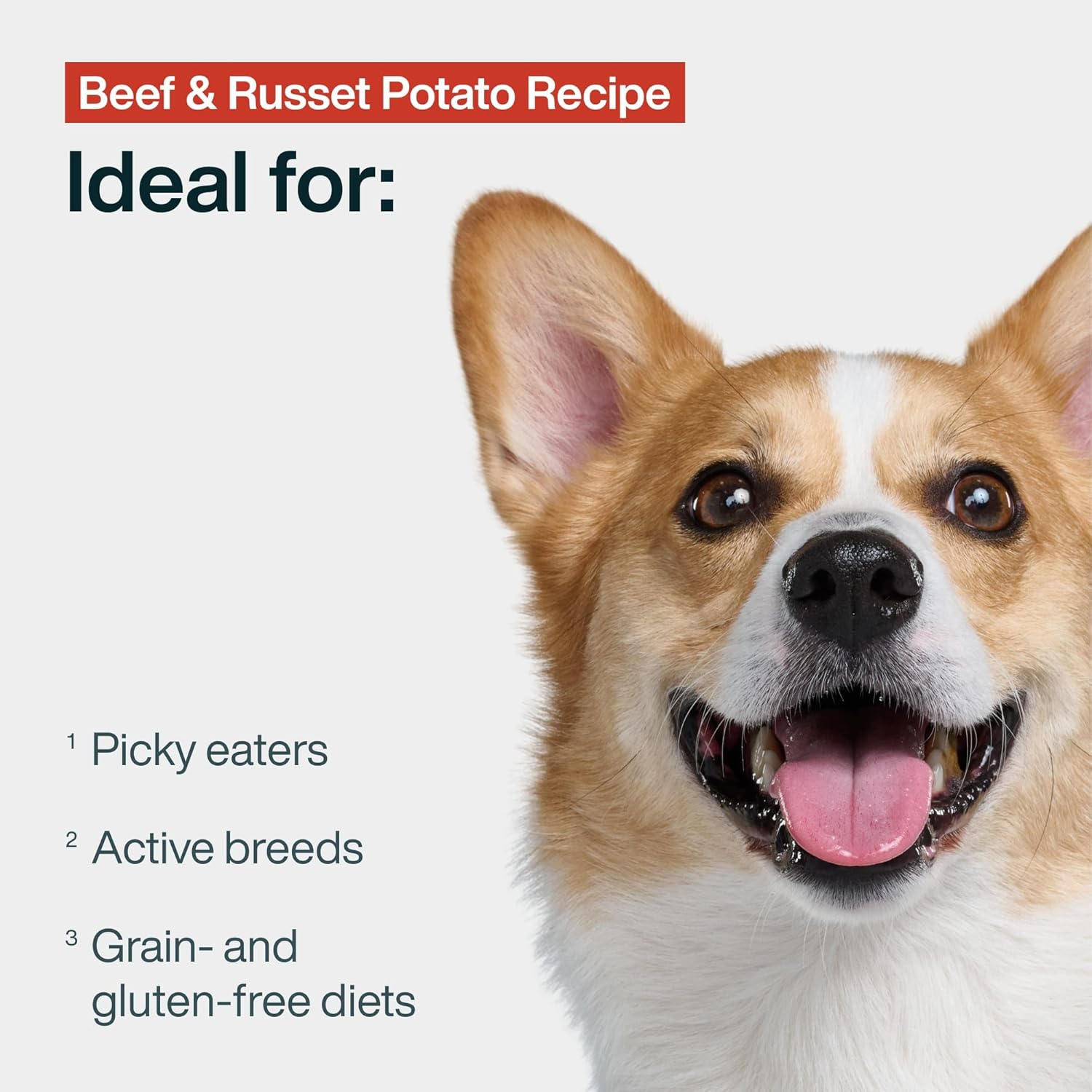 JustFoodForDogs Pantry Fresh Wet Dog Food, Complete Meal or Dog Food Topper, Beef & Russet Potato Human Grade Dog Food Recipe - 12.5 oz (Pack of 6)