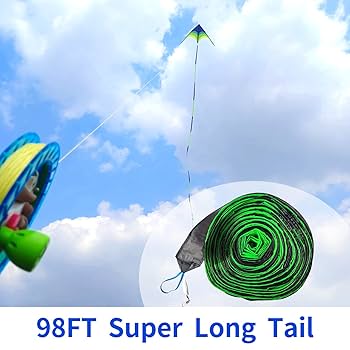 大凧 71HK2pjw35L._UF350,350_QL80_.jpg