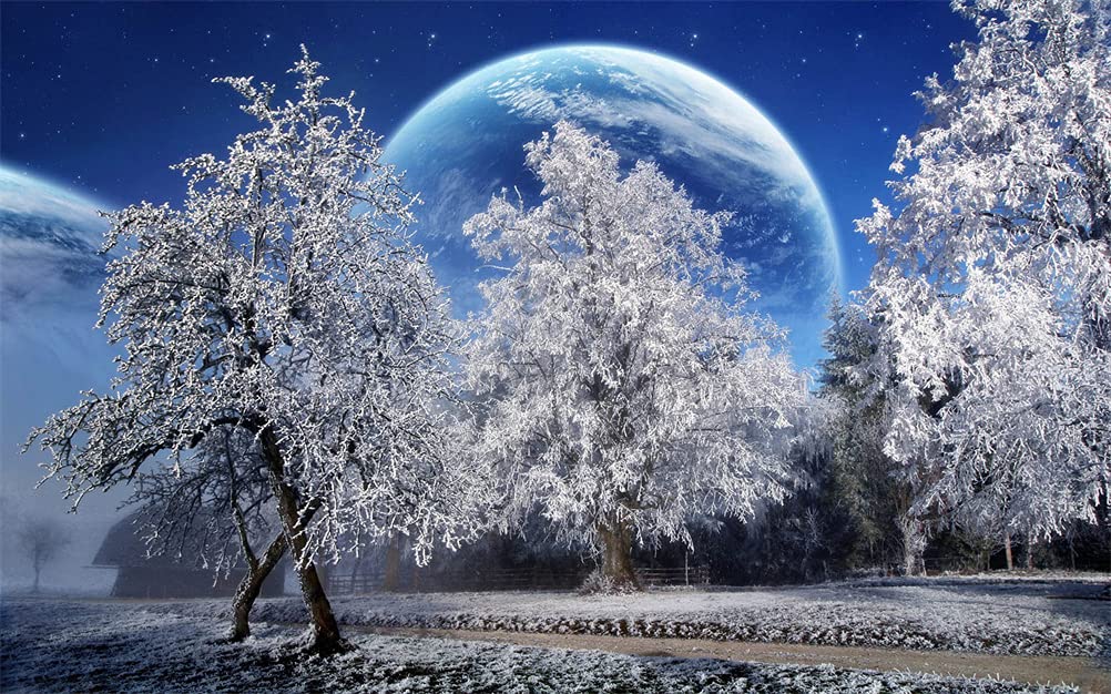 Meecaa Landscape 1 Diamond Painting Kits With Tools, Moon Tree Landscape Night Scene Diy 5D Full Drill Cross Stitch Diamond Mosaic Art Crafts 30X40cm (Landscape 1)