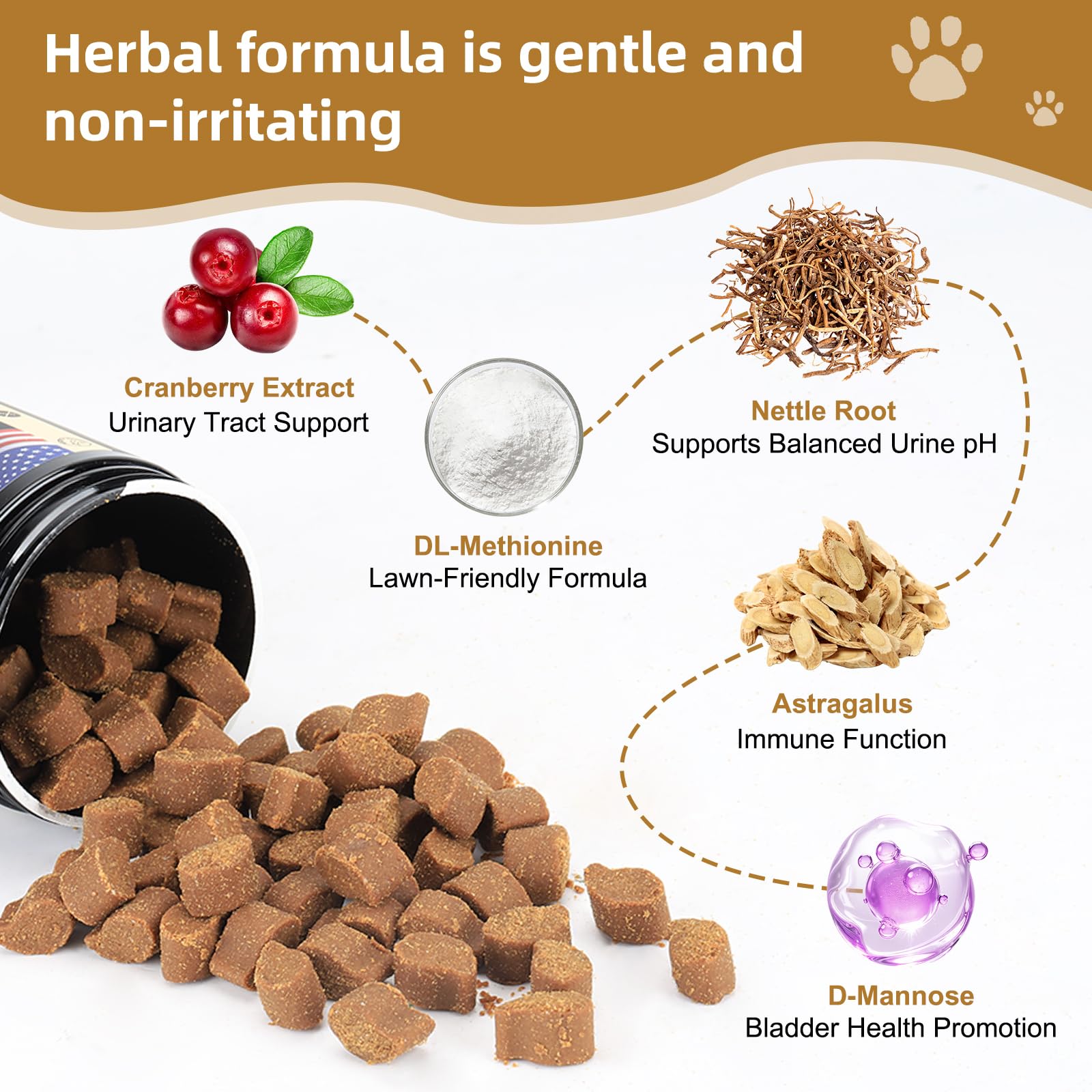 Petnanny Cranberry Supplement for Dogs - Urinary Tract Support — Amazon image 3