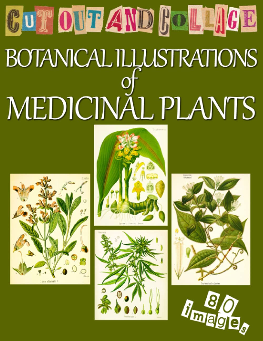 Cut Out and Collage Botanical Illustrations of Medicinal Plants: Vintage Botany Prints Ephemera for Junk Journals, Card Making, Wall Decoration, Scrapbooking & Mixed Media Art