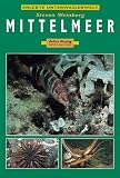 Mittelmeer - Steven Weinberg