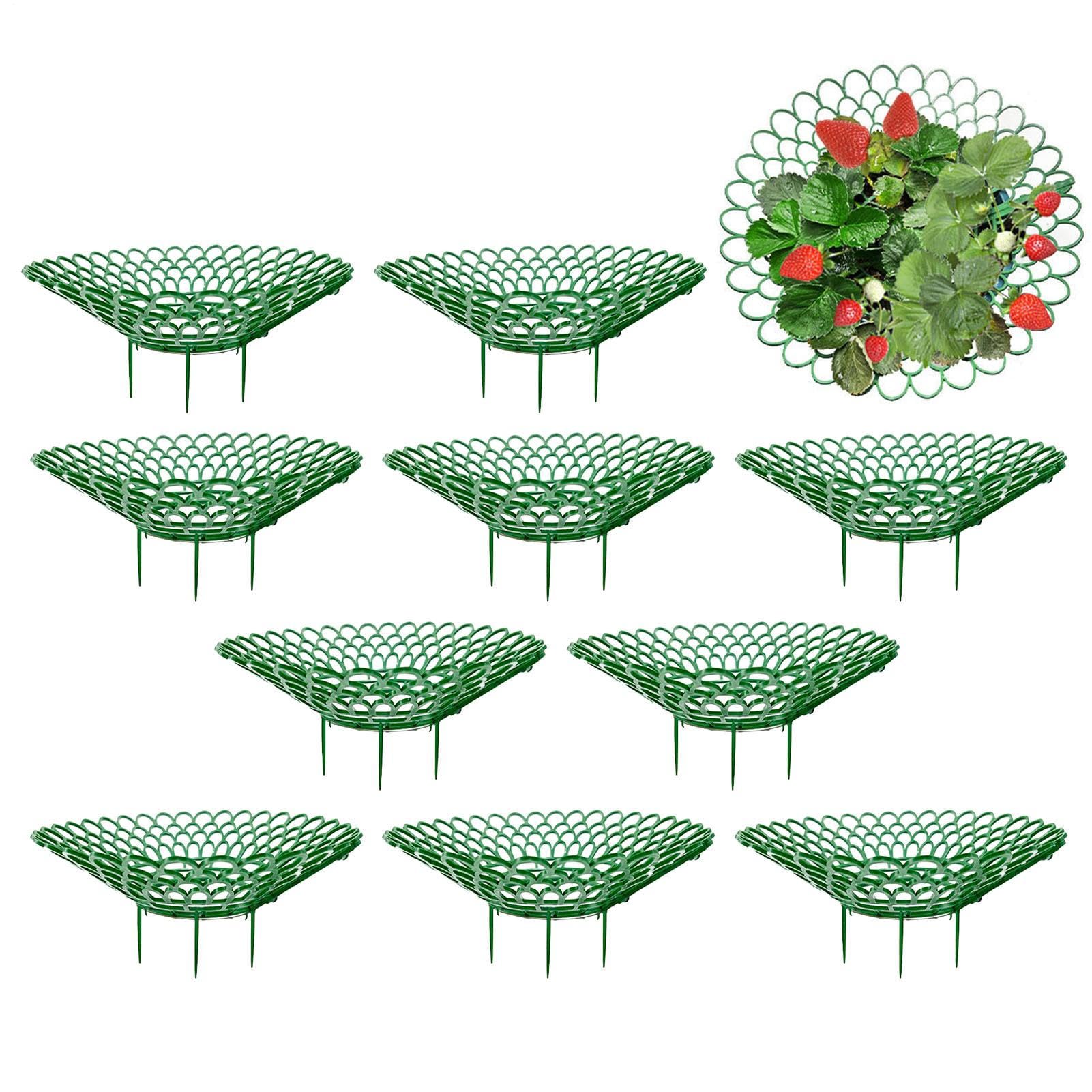10X Strawberry Plant Support,Stand Strawberry Growing Rack,Plant Protector Growing Frame Holder Cage,Farming Supplie,Vegetable Support,Garden Greenhouse Accessories For Keeping Clean In Rainy Day