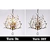 Product Photo 8