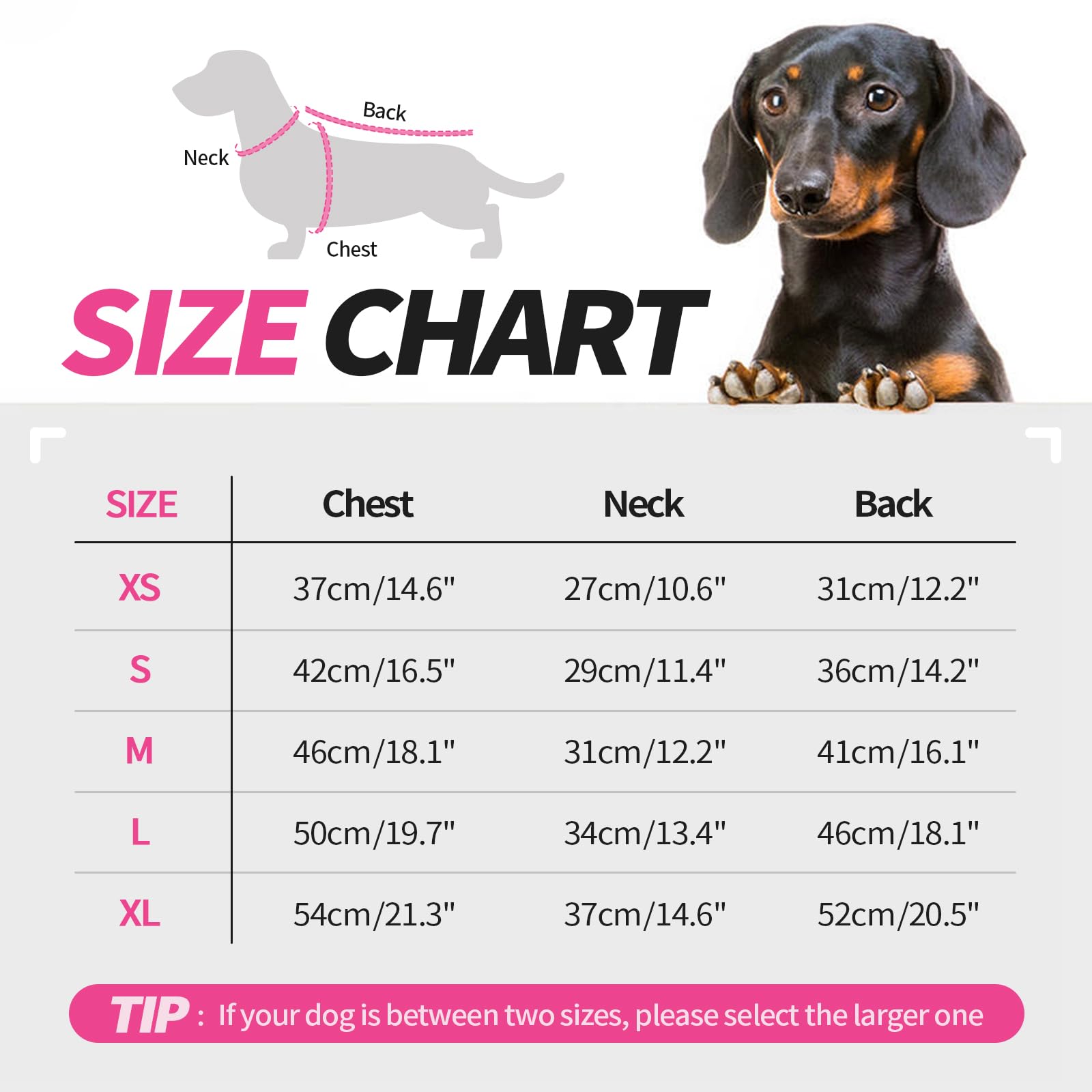 Size Chart Dachshund Clothes Size Hjyokuso Dachshund Jumper