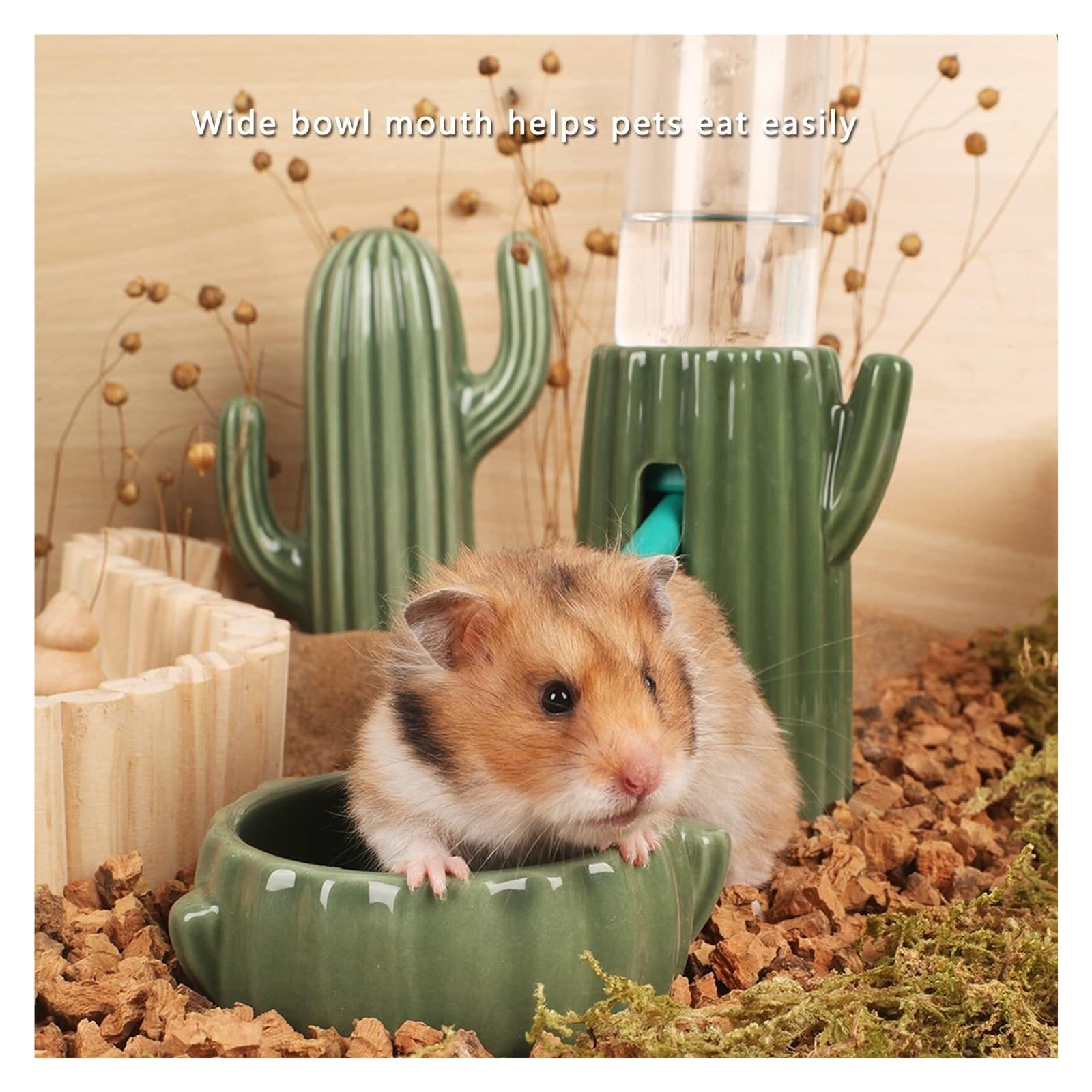 Casa in ceramica a forma di cactus, ciotola per cibo, bottiglia d'acqua, supporto per criceti siriani, gerbilli, piccoli animali domestici, habitat per piccoli animali, accessori per criceti (3 pezzi)