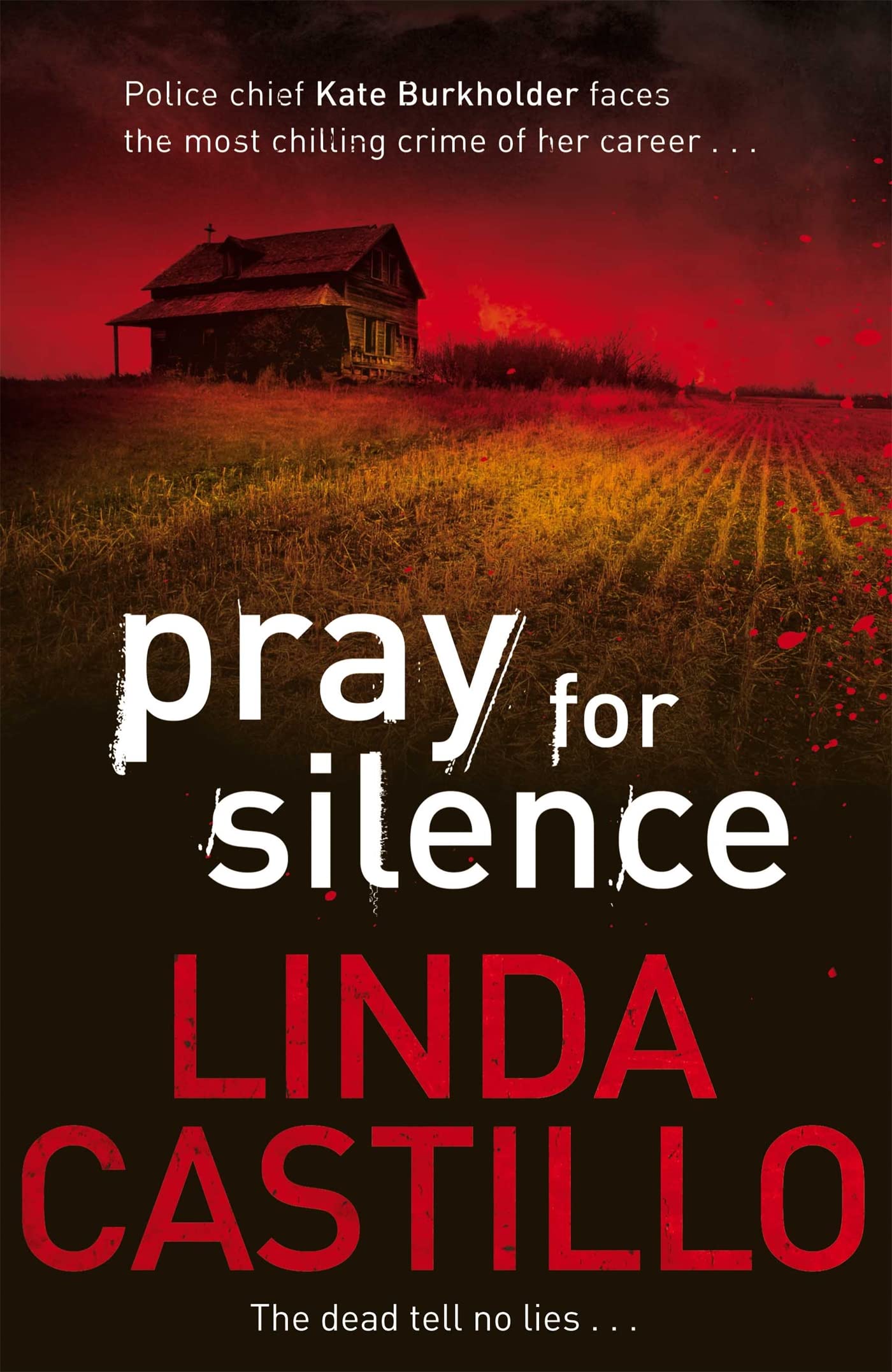 Pray for Silence (Kate Burkholder 2) By Linda Castillo