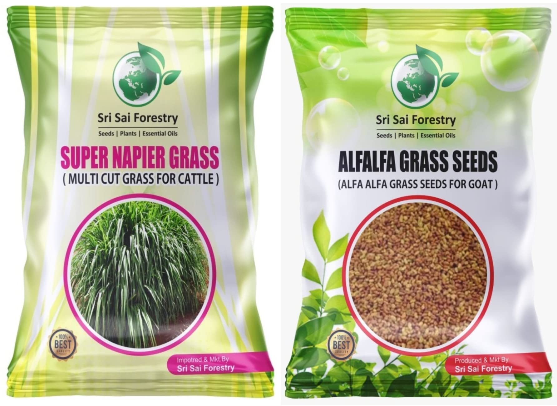 SRI SAI FORESTRY Super Napier Grass Seeds | Alfalfa Seeds - Alfa Alfa Grass | Combo Pack - 200g | Animal Fodder High Yield Multi Cut Grass Seed (B0BCQLVSHY) Amazon Price History, Amazon Price Tracker