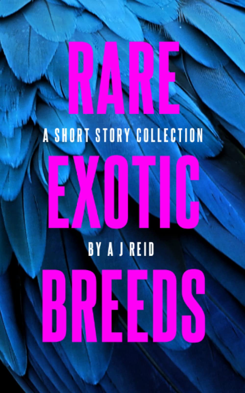 Rare Exotic Breeds