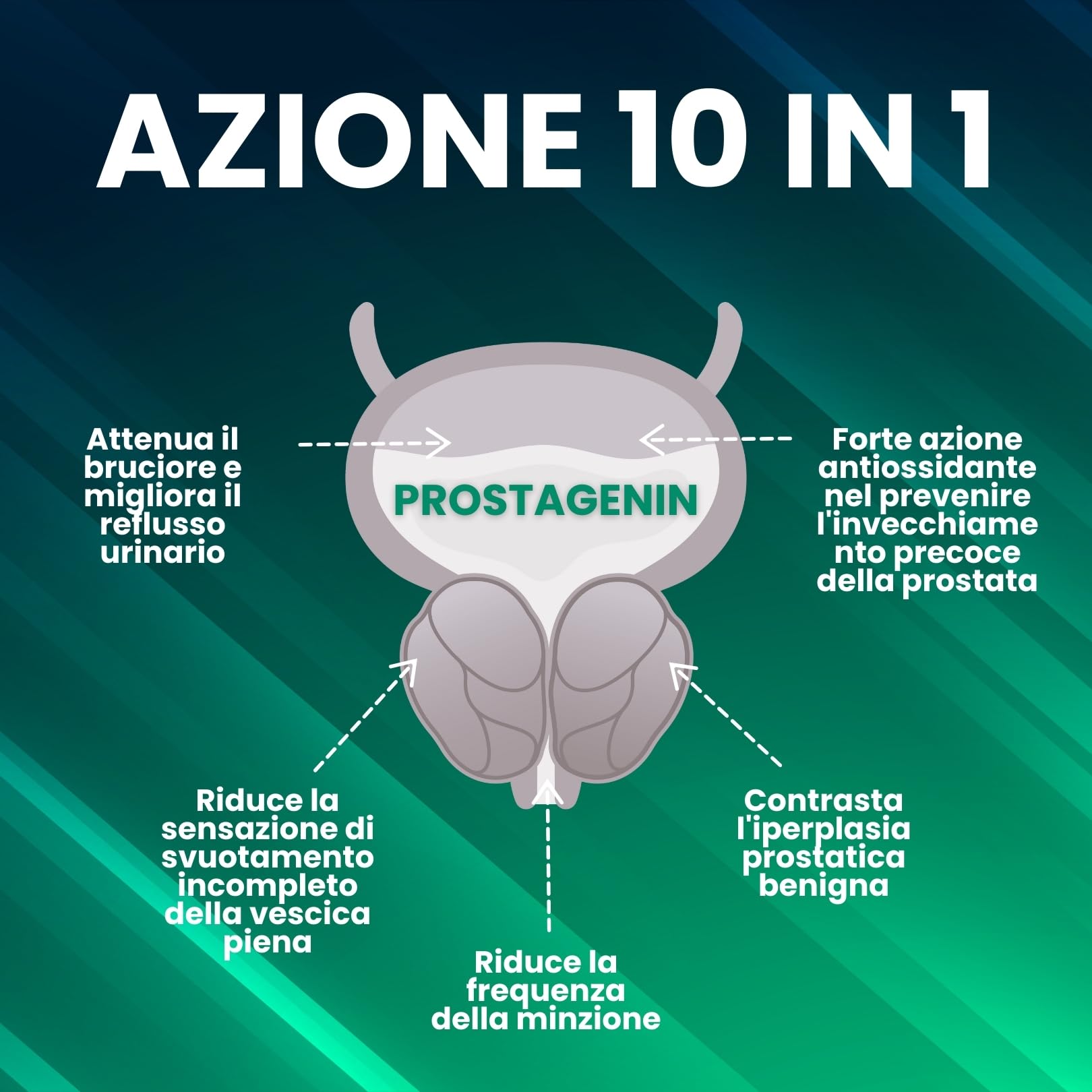 OVF Prostagenin - Serenoa Repens 640mg | 120 Capsule | Formula 4 in 1 con Apigenina, Zinco e Licopene | Supporto per la Funzionalità della Prostata e il Benessere delle Vie Urinarie
