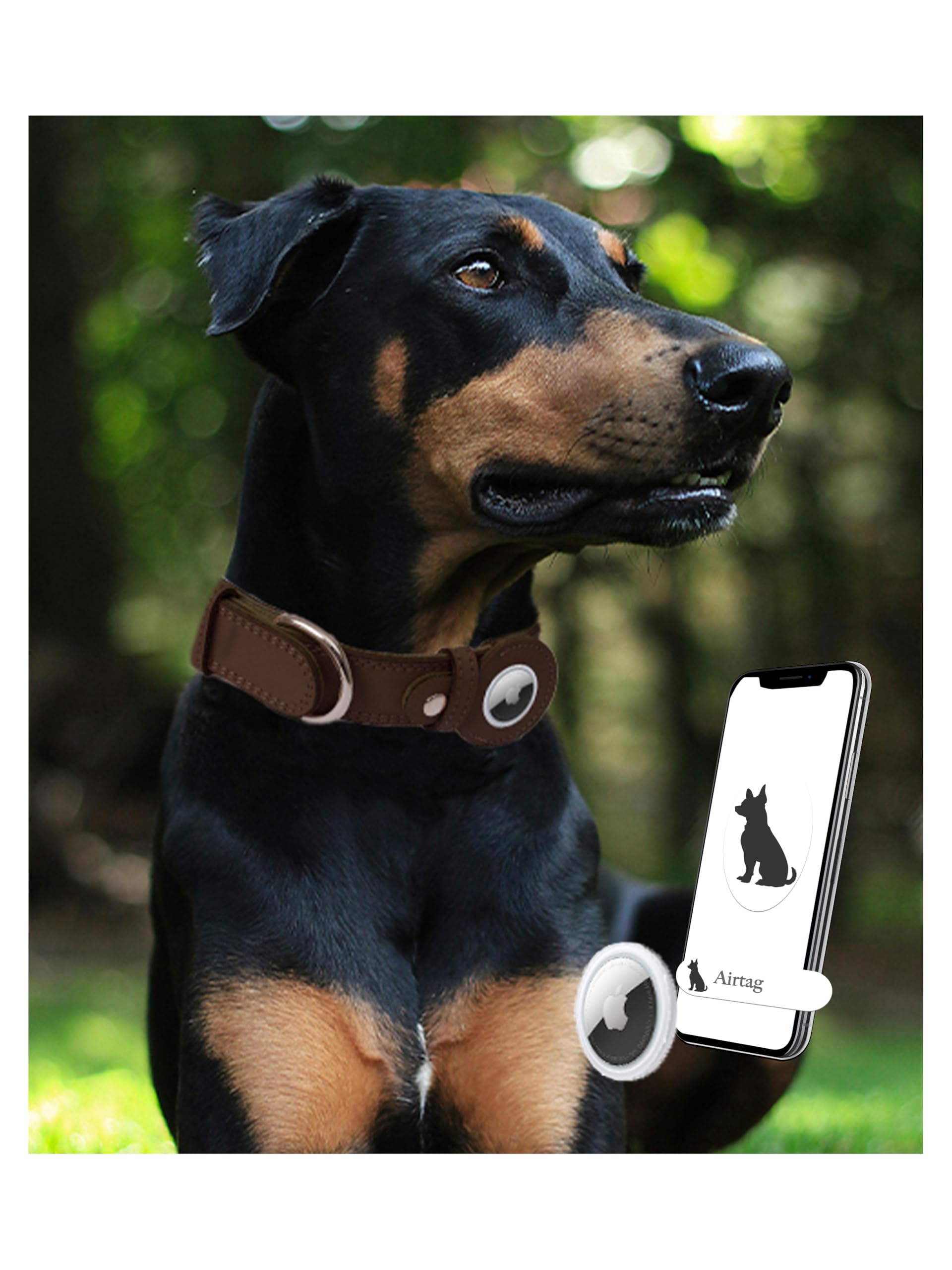 Hundehalsband aus echtem Leder mit Apple-AirTag-Halterung für kleine, mittelgroße und extra große Welpen, mit Metallschnalle, strapazierfähig, genarbtes weiches Leder, gepolstert, Rot, Größe S, 25,4 -