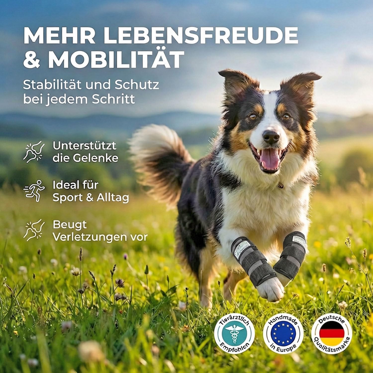 Nature Pet Sport Gelenk Bandage Gelenk- & Knochenschutz für Hunde - geeignet für Agility, Flyball und Hunde Frisbee - Bandage bei leichter Arthrose oder Leckschutz und Verbandschutz nach OP (L)