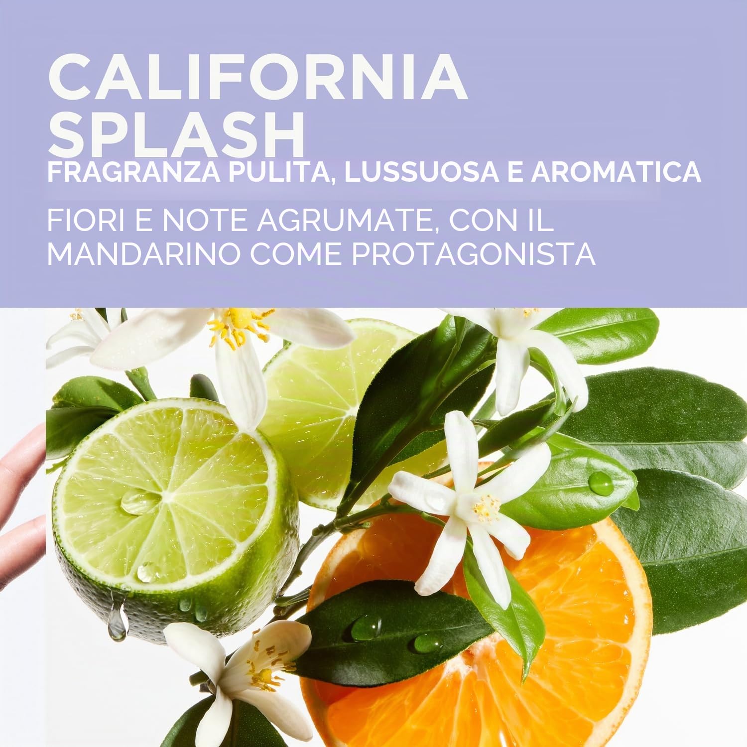 Kérastase, Blond Absolu, Shampoo Professionale Illuminante per Capelli Biondi, Capelli Sani e Luminosi, Con Acido Ialuronico ed Estratto di Fiore di Stella Alpina, Bain Lumière, 250 ml