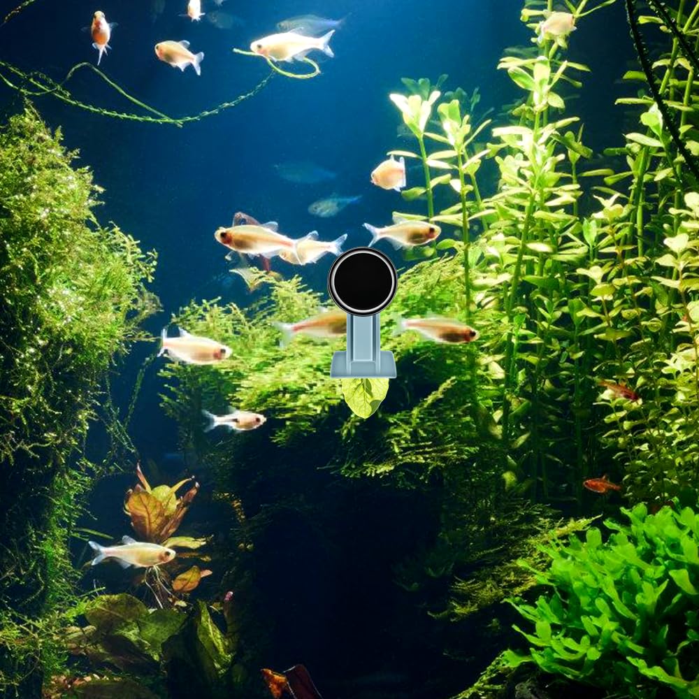 Pinces Magnétiques pour Nourrir Les Algues, Pince d'alimentation en Algues, Mangeoire Magnétique pour Aquarium, Distributeur Magnétique d'algues pour Aquarium d'eau Douce et d'eau de Mer