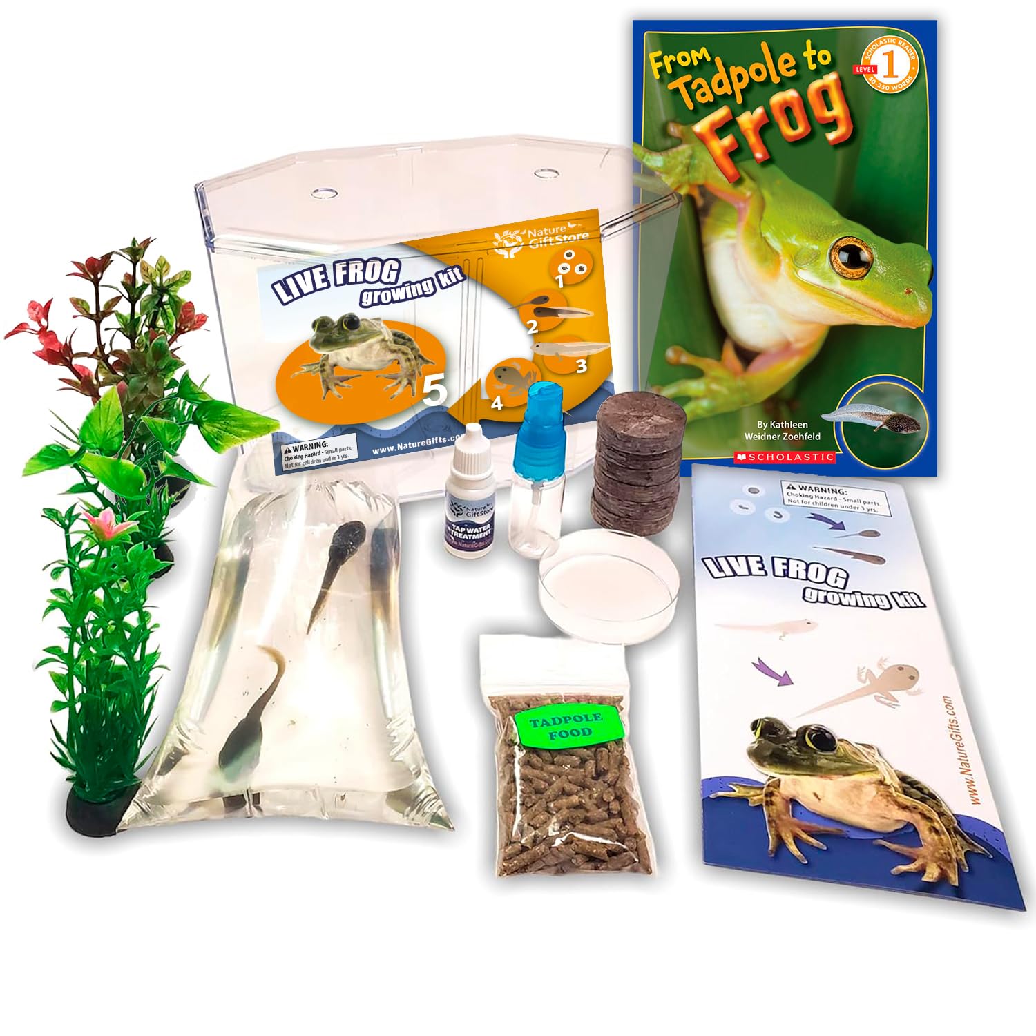Tadpole to Frog Starter Kit - Includes Certificate for 2 Live Tadpoles - All-in-One Bundle with Habitat, Food, Instructions, and Book - Ideal for