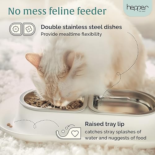 Best Ant Proof Cat Bowls Best For Pets Best Cat Bowls