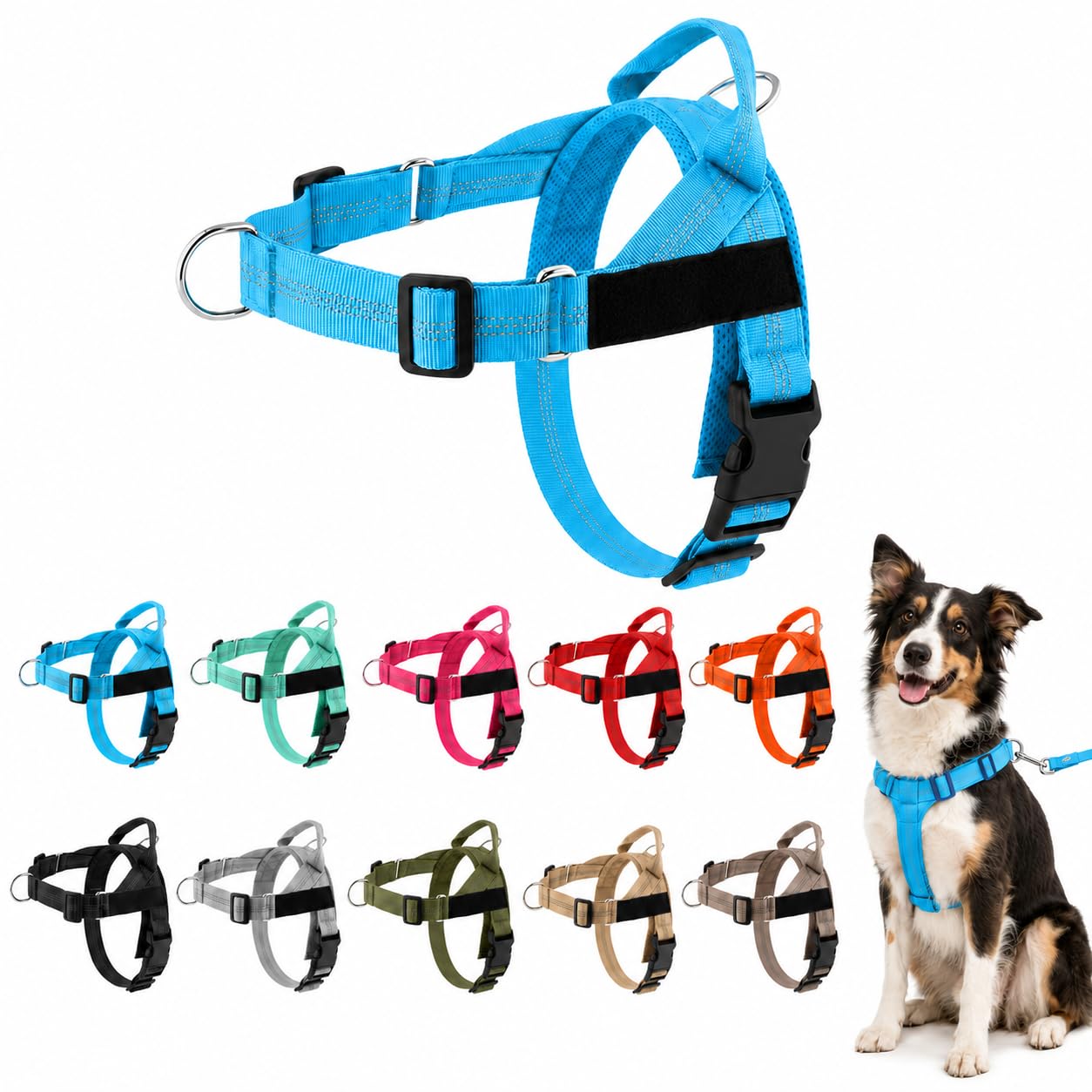 ParoPet No Pull Dog Harness — Adjustable Harness with Front Chest Clip, Lightweight Breathable Material and Reflective Details for Medium and Large Dogs, Walking, Training and Travel (Blue,XL)