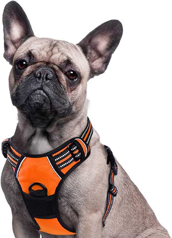 Amazon.co.uk Dog Harnesses