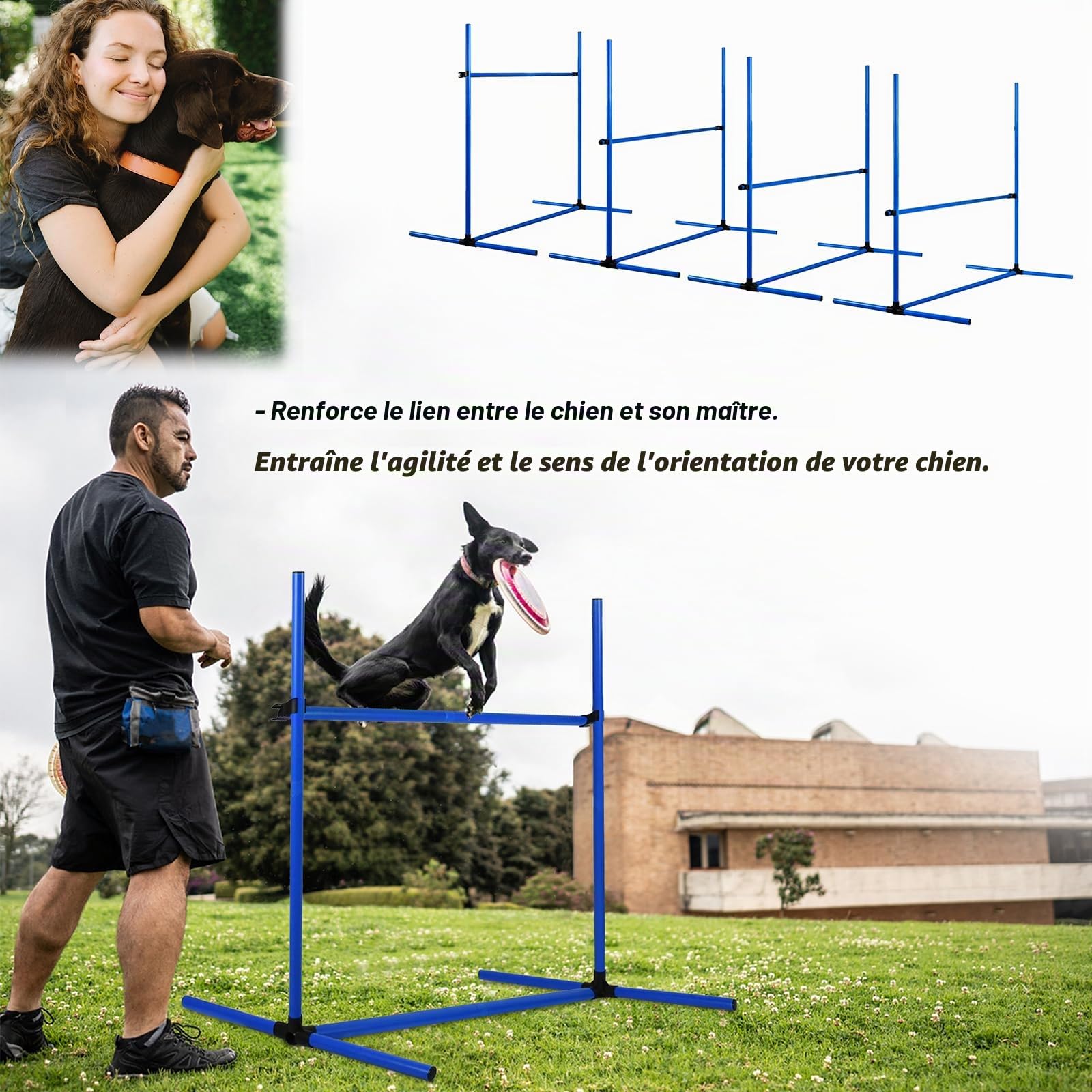 Ensemble d'obstacles d'agilité pour animaux de compagnie, set de 4 tiges de slalom pour entraînement de chien avec sac de transport, hauteur réglable, en plastique, bleu