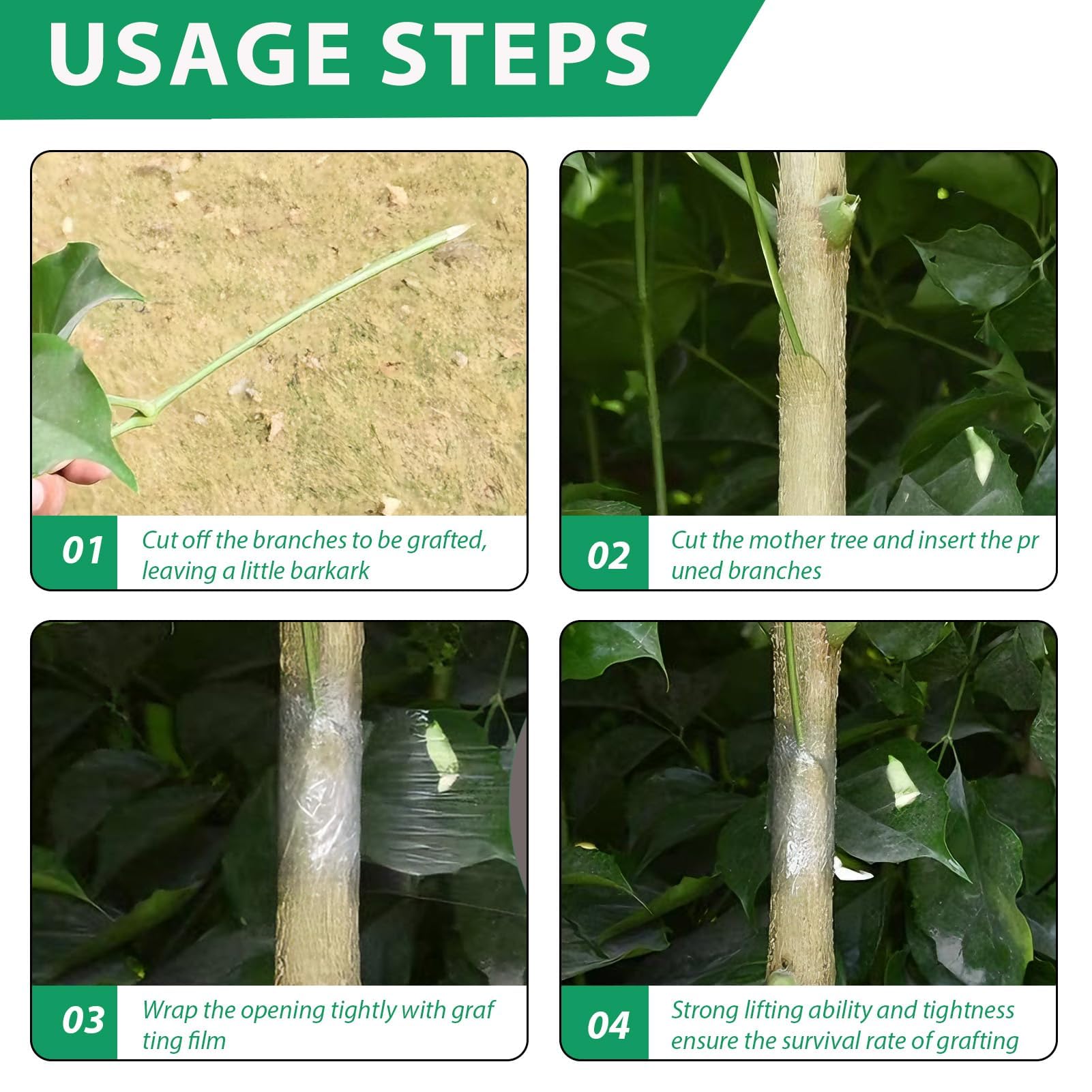 Cinta de Injertar Transparente Árboles de Jardín, 4 Rollos, Biodegradable Cinta Injerto Autoadhesivo, para Árboles Frutales, Plántulas, Flores y Viveros