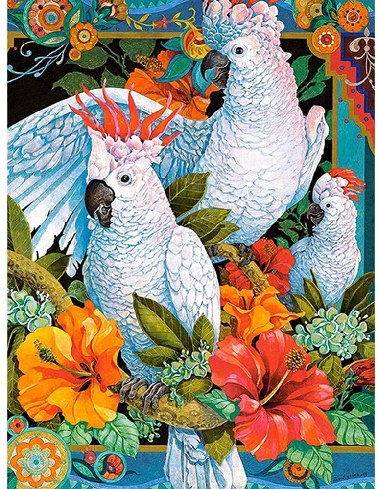 Amazon.co.jp: Chtom 5D DIYカラフルな鳥の花のフルドリルダイヤモンド